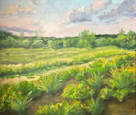 Cloud Study by artist Tammy Brown